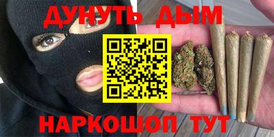 мдпв Гусев