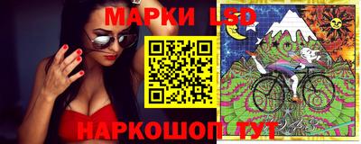 гидропоника Гусь-Хрустальный