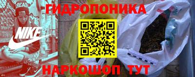 мдпв Гусев
