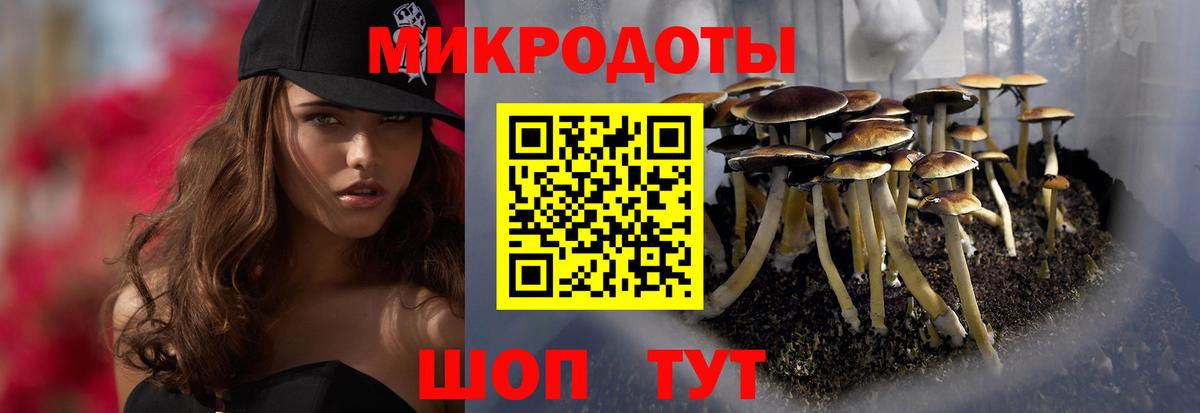 Галлюциногенные грибы мухоморы  Вход с VPN  Псилоцибиновые грибы ЛСД  Муравленко 